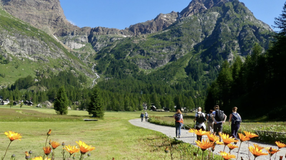 Parchi ossolani: natura e salute unite nel progetto LiveAlpsNature